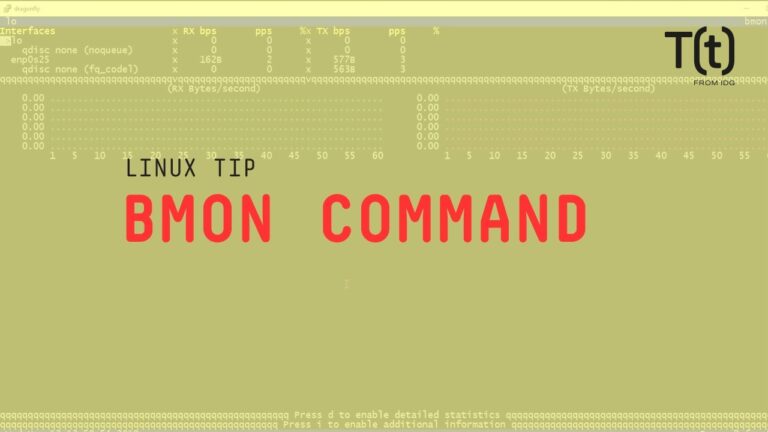 How to use the bmon command: 2-Minute Linux Tips