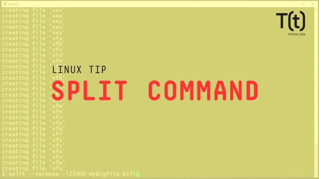 Colors in ls Command Output: What do They Mean? - Linux Punx