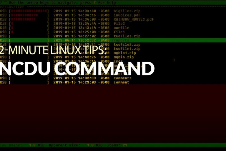 How to use the ncdu command