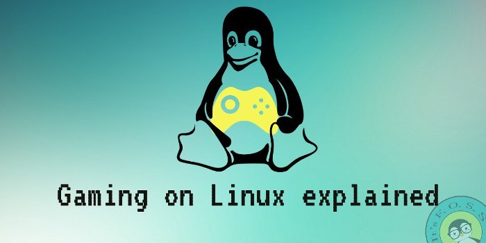 Gaming On Linux: All You Need To Know